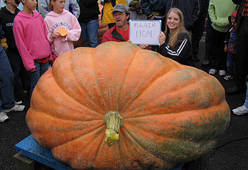 State Record Pumpkin - 1104#